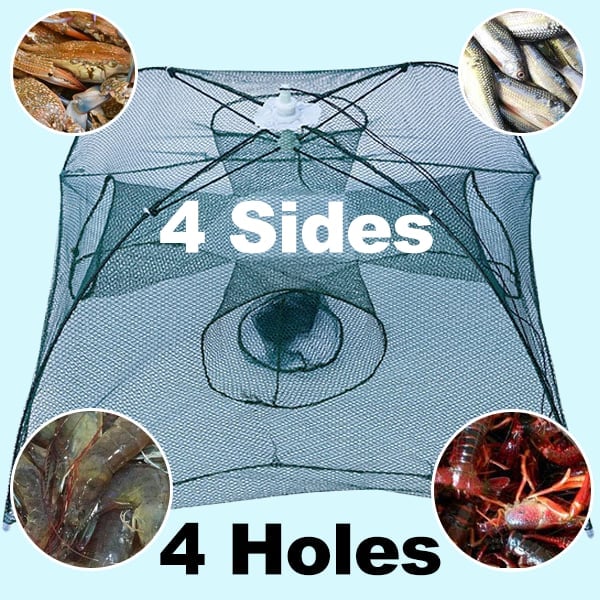 The Magic Fishing Trap