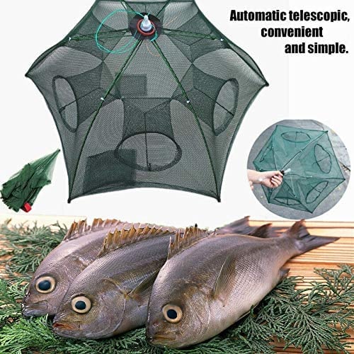 The Magic Fishing Trap