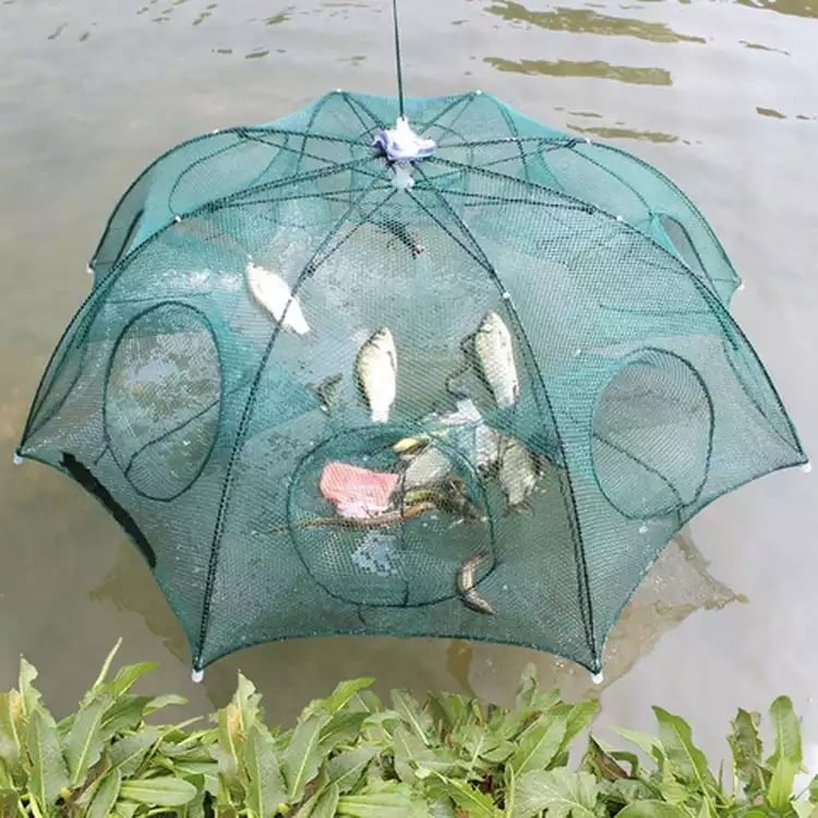 The Magic Fishing Trap