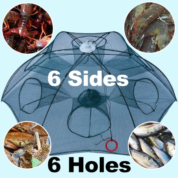 The Magic Fishing Trap