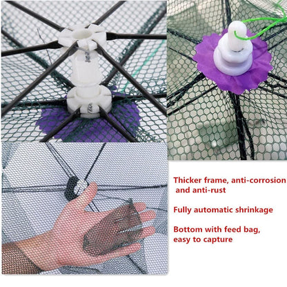 The Magic Fishing Trap