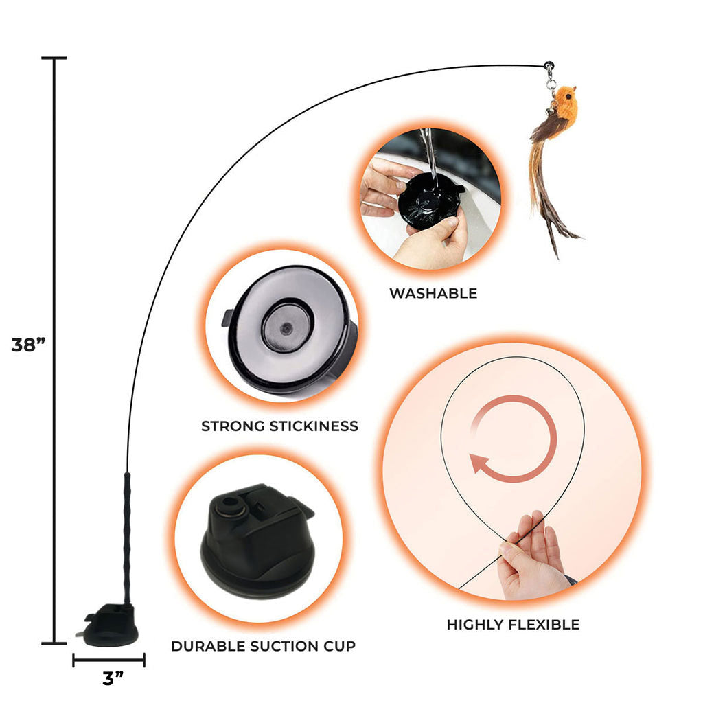 Cat Toy Simulation Bird