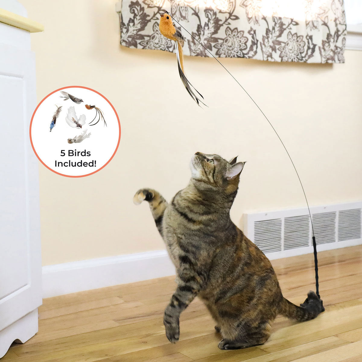 Cat Toy Simulation Bird