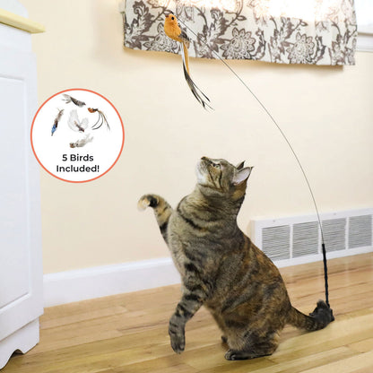 Cat Toy Simulation Bird