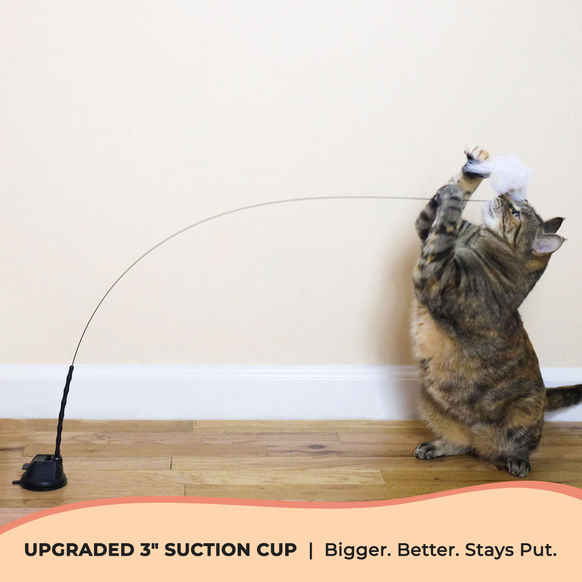 Cat Toy Simulation Bird