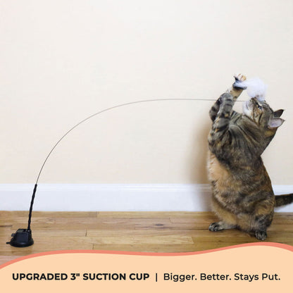 Cat Toy Simulation Bird