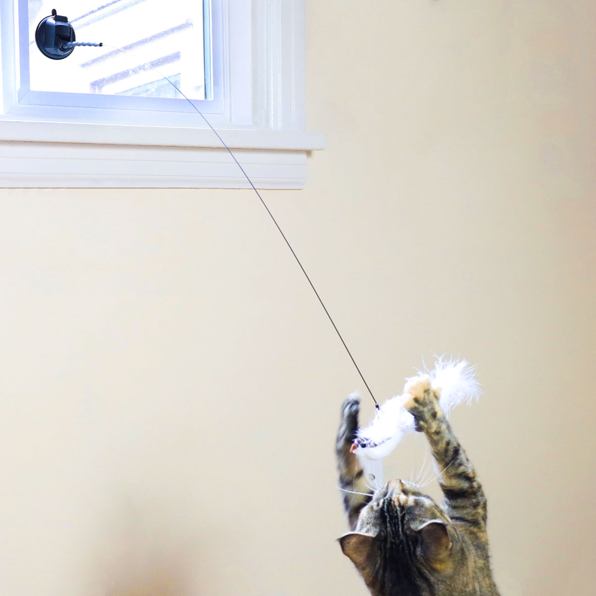 Cat Toy Simulation Bird