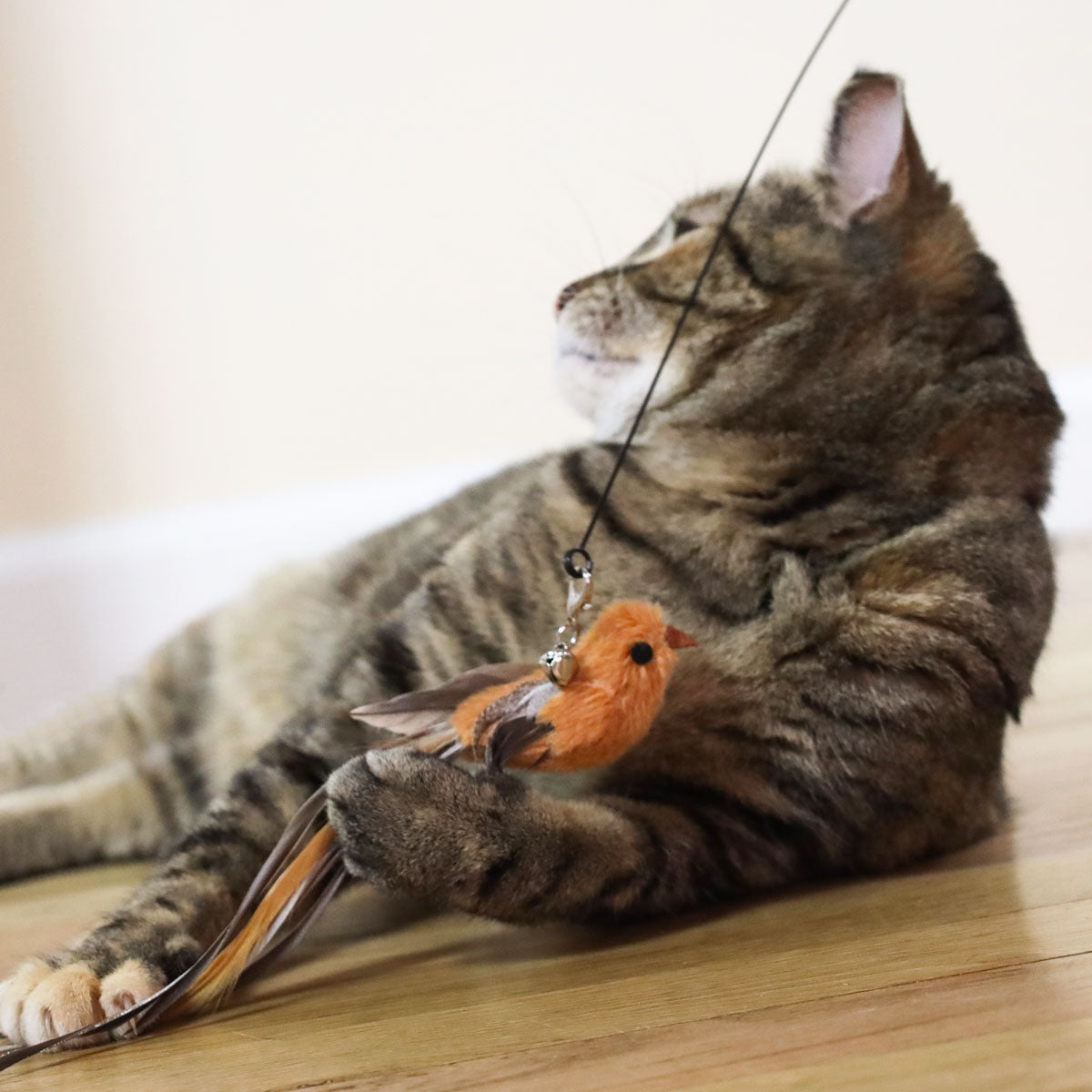 Cat Toy Simulation Bird