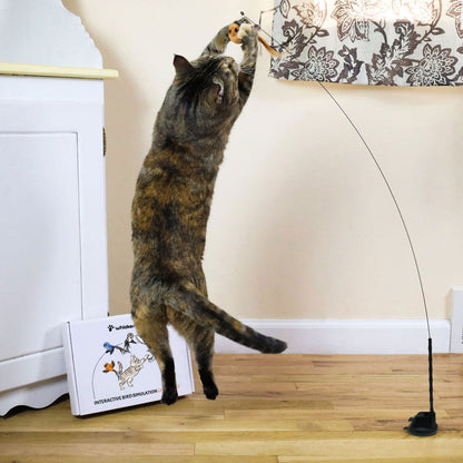 Cat Toy Simulation Bird
