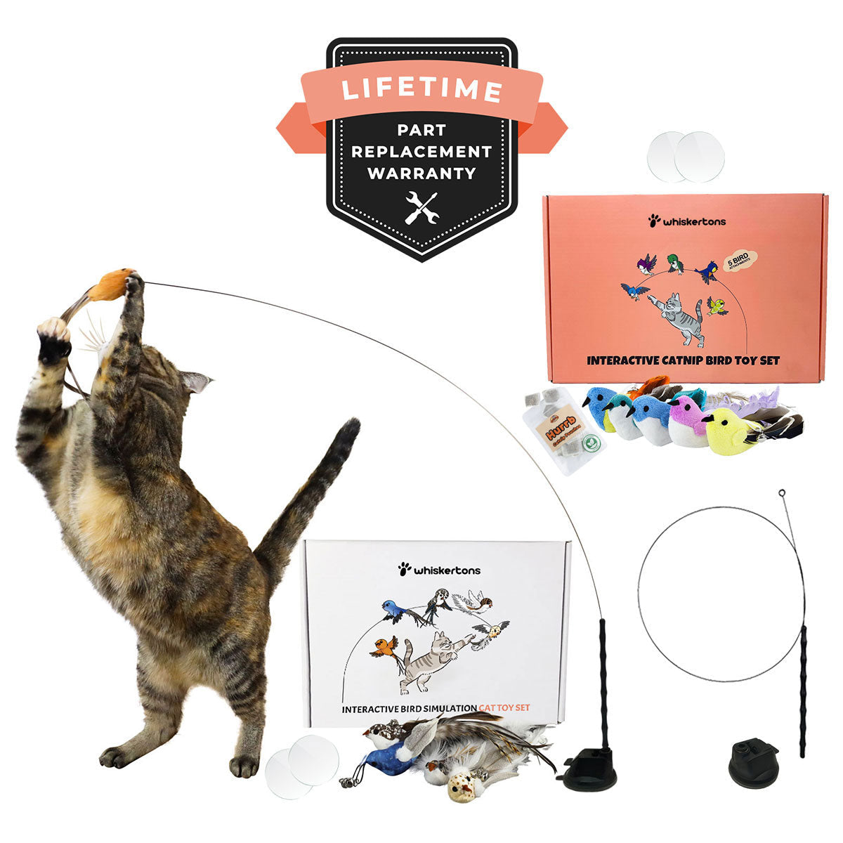 Cat Toy Simulation Bird