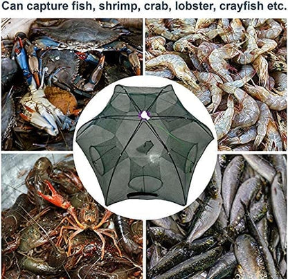 The Magic Fishing Trap