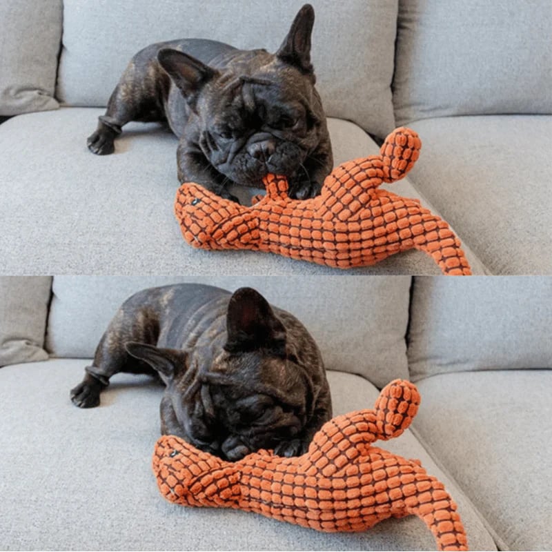 Robust Dino - Dog Toy 2.0