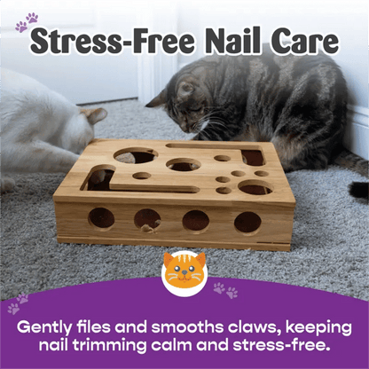 The Polished Claws Box