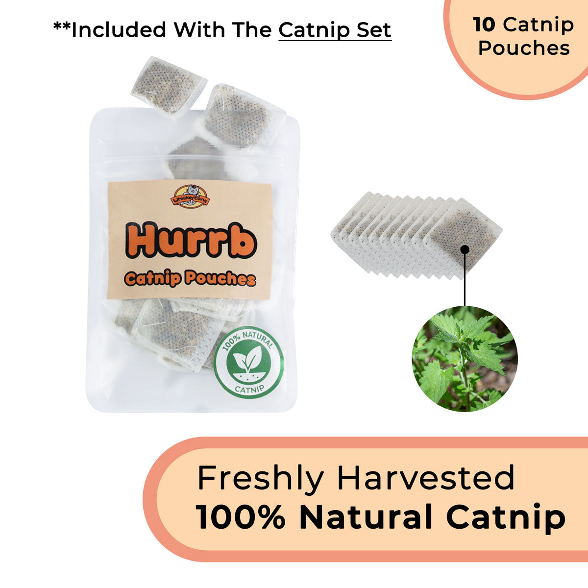 Cat Toy Simulation Bird