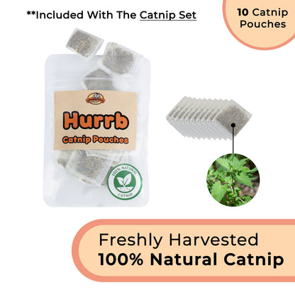 Cat Toy Simulation Bird